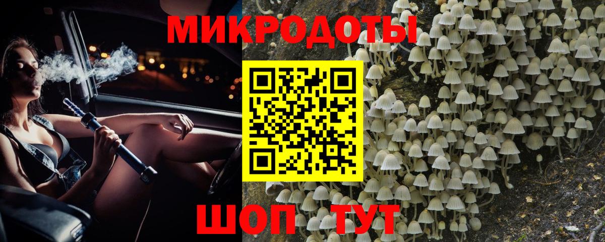 Псилоцибиновые грибы мицелий Кувандык