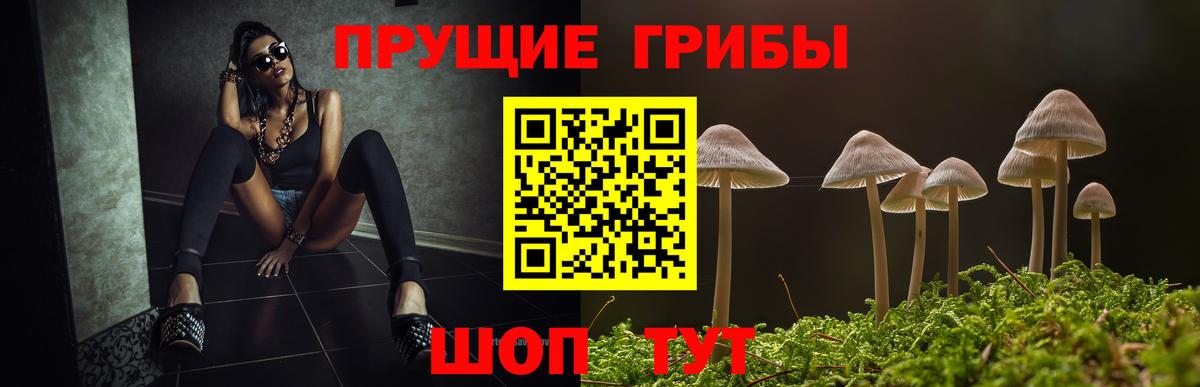Кувандык  Галлюциногенные грибы GOLDEN TEACHER  Вход с VPN 